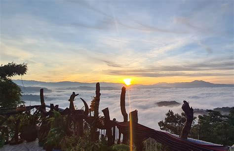 relx baguio